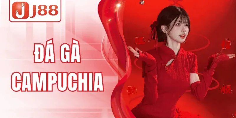 Đá Gà Campuchia J88 – Trận Kịch Đấu Tính, May Mắn Bùng Nổ