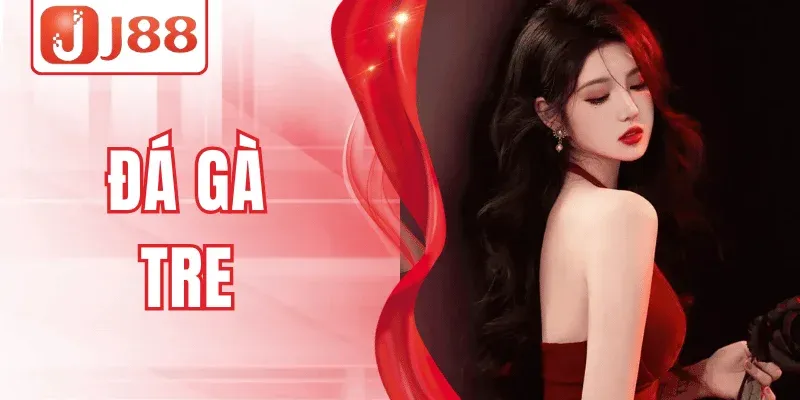 Tham Gia Đá Gà Tre, Trải Nghiệm Hấp Dẫn Mỗi Ván Tại J88
