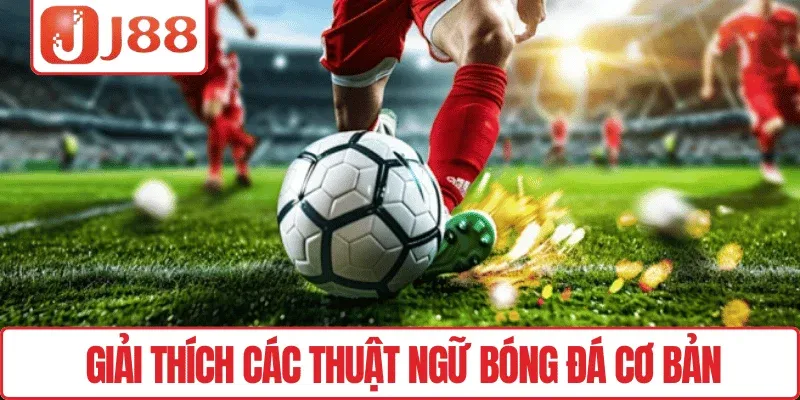 Giải thích các thuật ngữ bóng đá cơ bản